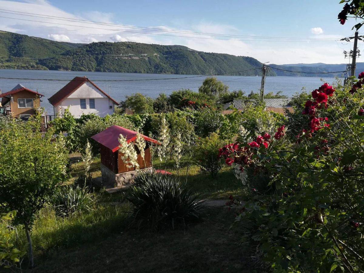 Casa Melania Villa Ieşelniţa Buitenkant foto